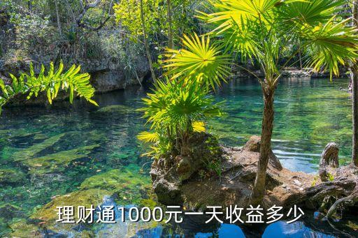  理財(cái)通1000元一天收益多少