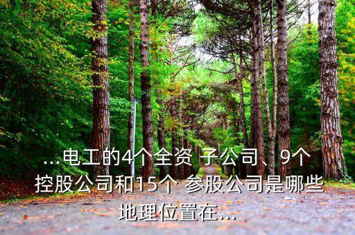 ...電工的4個全資 子公司、9個 控股公司和15個 參股公司是哪些地理位置在...