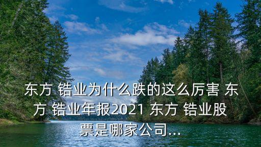  東方 鋯業(yè)為什么跌的這么厲害 東方 鋯業(yè)年報2021 東方 鋯業(yè)股票是哪家公司...