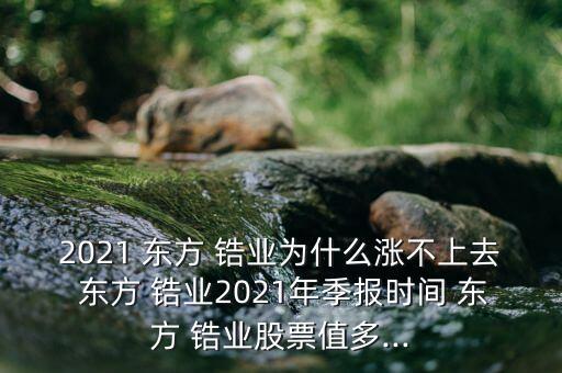 2021 東方 鋯業(yè)為什么漲不上去 東方 鋯業(yè)2021年季報時間 東方 鋯業(yè)股票值多...