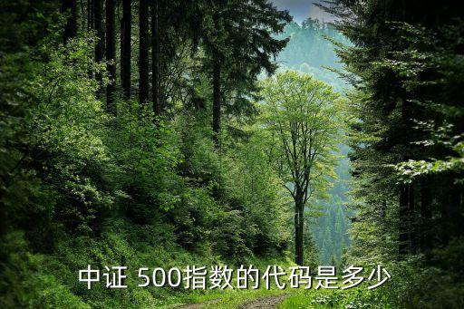 2015年中證500有哪些股票