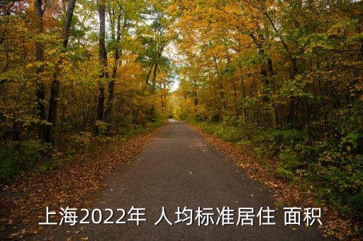 上海2022年 人均標準居住 面積