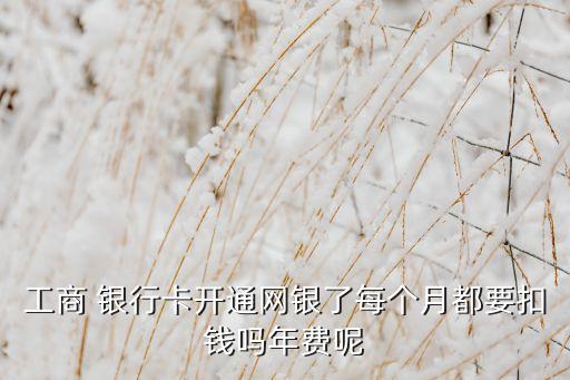 工商 銀行卡開通網(wǎng)銀了每個(gè)月都要扣錢嗎年費(fèi)呢