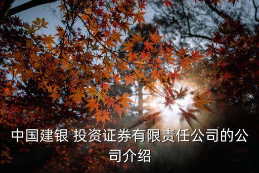 中國建銀 投資證券有限責(zé)任公司的公司介紹