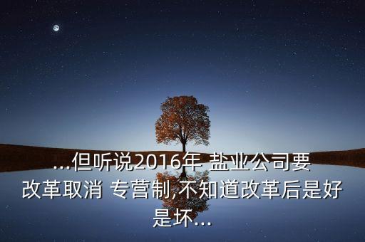 ...但聽說2016年 鹽業(yè)公司要改革取消 專營制,不知道改革后是好是壞...