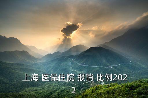  上海 醫(yī)保住院 報(bào)銷 比例2022