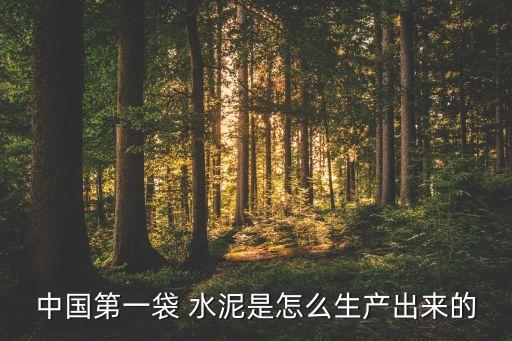 中國第一袋 水泥是怎么生產(chǎn)出來的