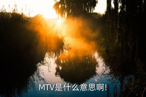 MTV是什么意思啊!