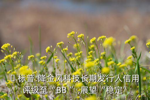 ? 標(biāo)普:降金風(fēng)科技長期發(fā)行人信用評級至“BB ”,展望“穩(wěn)定”