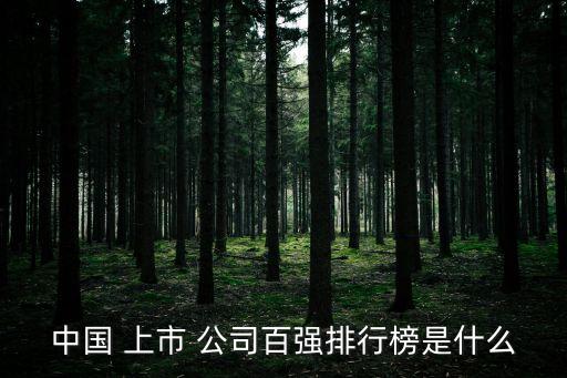 中國(guó) 上市 公司百?gòu)?qiáng)排行榜是什么