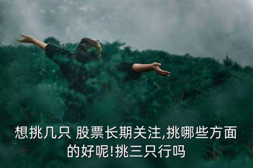 想挑幾只 股票長(zhǎng)期關(guān)注,挑哪些方面的好呢!挑三只行嗎