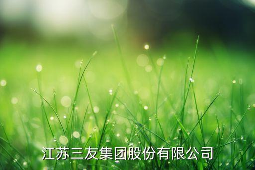 江蘇三友集團(tuán)股份有限公司