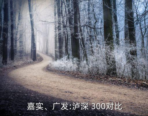  嘉實(shí)、廣發(fā):瀘深 300對(duì)比