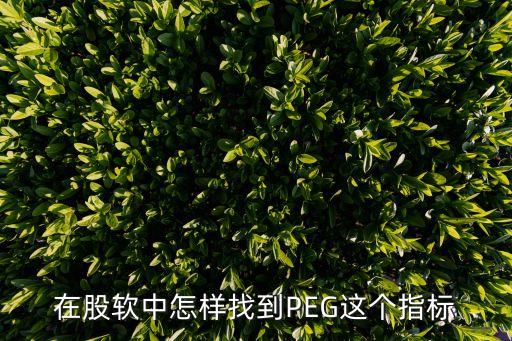 在股軟中怎樣找到PEG這個(gè)指標(biāo)