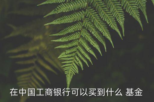 在中國工商銀行可以買到什么 基金