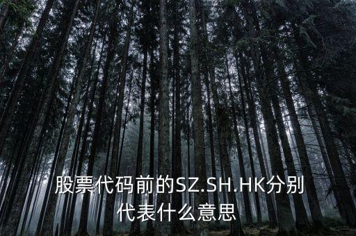  股票代碼前的SZ.SH.HK分別代表什么意思