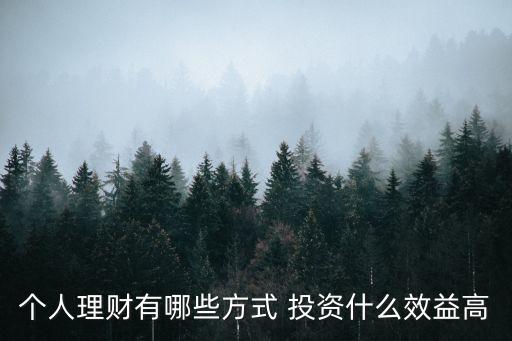 個人理財有哪些方式 投資什么效益高