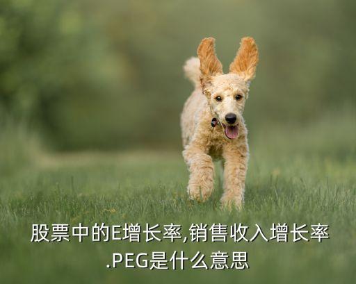  股票中的E增長率,銷售收入增長率.PEG是什么意思