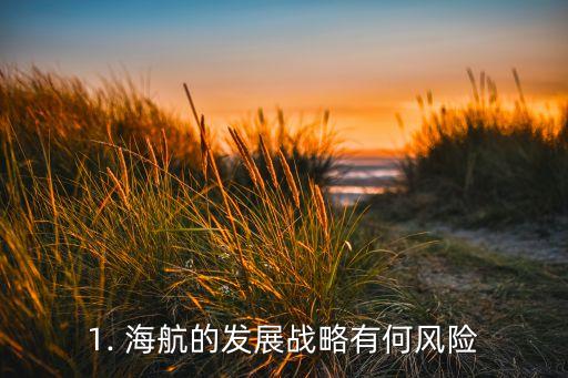 1. 海航的發(fā)展戰(zhàn)略有何風(fēng)險(xiǎn)