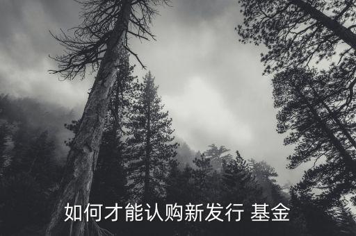 如何才能認購新發(fā)行 基金