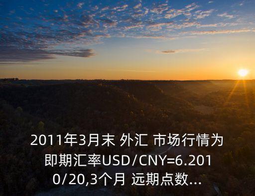 2011年3月末 外匯 市場(chǎng)行情為即期匯率USD/CNY=6.2010/20,3個(gè)月 遠(yuǎn)期點(diǎn)數(shù)...