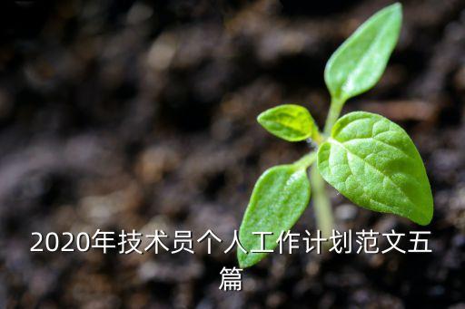 2020年技術(shù)員個(gè)人工作計(jì)劃范文五篇