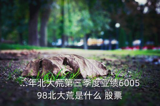 ...年北大荒第三季度業(yè)績600598北大荒是什么 股票