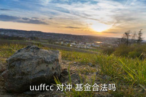 uuffcc 對(duì)沖 基金合法嗎