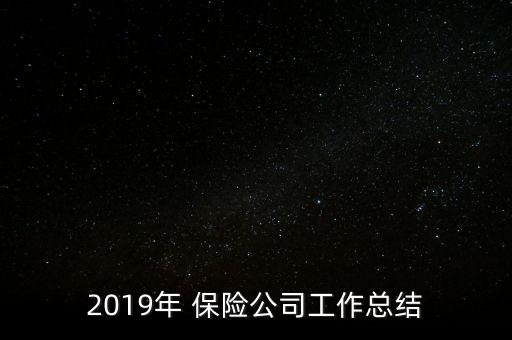 2019年 保險(xiǎn)公司工作總結(jié)