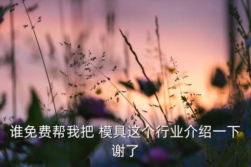 誰(shuí)免費(fèi)幫我把 模具這個(gè)行業(yè)介紹一下謝了