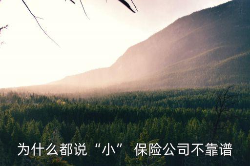 為什么都說“小” 保險(xiǎn)公司不靠譜