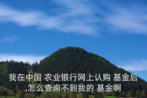 我在中國(guó) 農(nóng)業(yè)銀行網(wǎng)上認(rèn)購 基金后,怎么查詢不到我的 基金啊