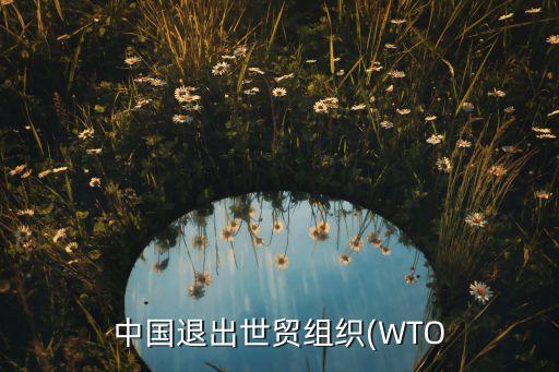 中國(guó)退出世貿(mào)組織(WTO