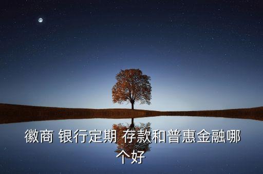  徽商 銀行定期 存款和普惠金融哪個好