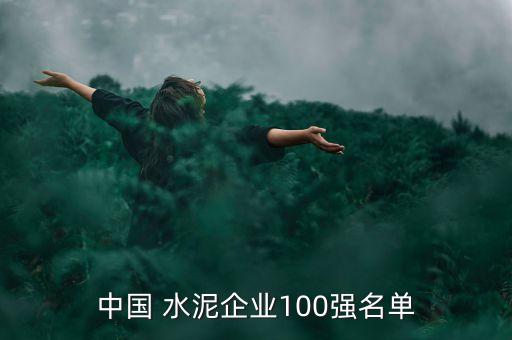 中國 水泥企業(yè)100強(qiáng)名單