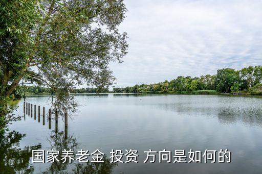 社會(huì)保險(xiǎn)基金的投資方向包括,列舉社會(huì)保險(xiǎn)基金的投資方向