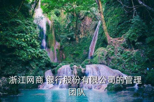 浙江網(wǎng)商 銀行股份有限公司的管理 團(tuán)隊(duì)