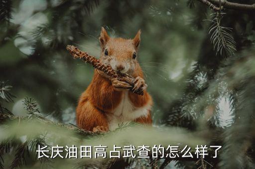  長(zhǎng)慶油田高占武查的怎么樣了