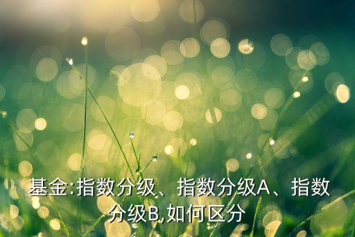  基金:指數(shù)分級(jí)、指數(shù)分級(jí)A、指數(shù)分級(jí)B,如何區(qū)分