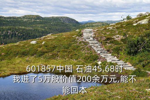 601857中國(guó) 石油45.68時(shí)我進(jìn)了5萬股價(jià)值200余萬元,能不能回本