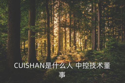 中控集團(tuán)副總,杭州中控集團(tuán)好不好