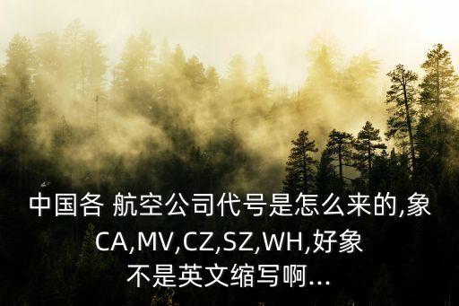 中國(guó)各 航空公司代號(hào)是怎么來(lái)的,象CA,MV,CZ,SZ,WH,好象不是英文縮寫(xiě)啊...