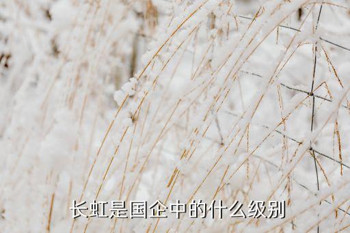 長(zhǎng)虹合肥投資,長(zhǎng)虹模塑合肥分公司怎么樣