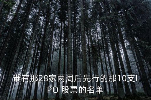 誰有那28家兩周后先行的那10支IPO 股票的名單