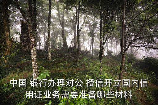 中國 銀行辦理對公 授信開立國內(nèi)信用證業(yè)務需要準備哪些材料