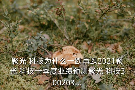 聚光 科技為什么一跌再跌2021聚光 科技一季度業(yè)績預(yù)測(cè)聚光 科技300203...