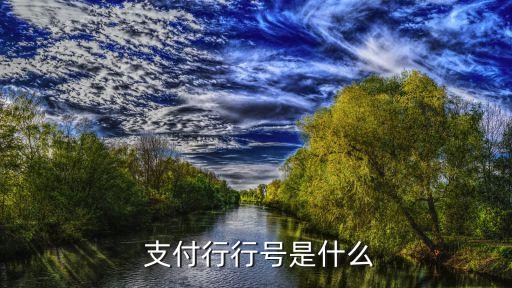  支付行行號(hào)是什么