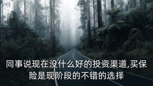 同事說現(xiàn)在沒什么好的投資渠道,買保險(xiǎn)是現(xiàn)階段的不錯(cuò)的選擇