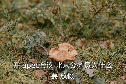 開(kāi) apec會(huì)議 北京公務(wù)員為什么要 放假