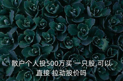 散戶個(gè)人投500萬(wàn)買 一只股,可以直接 拉動(dòng)股價(jià)嗎